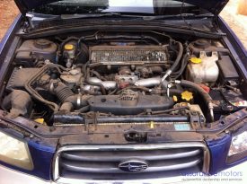 Subaru Forester SG (XT)